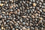 Cherukutty Sons Mucuna Bracteata Gallery